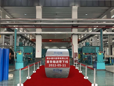 Celebrate the Opration of the First Production Line of Desheng Factory